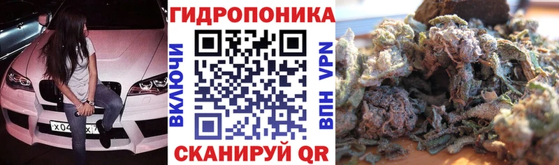 Магазины продажи наркотиков Курчатов А ПВП  Галлюциногенные грибы  Меф  ГАШ  Cocaine 