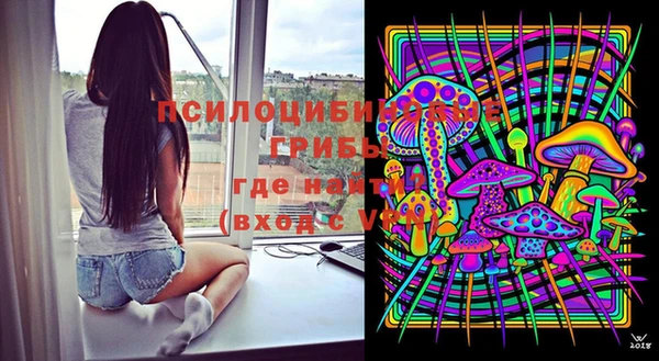 крисы Абдулино