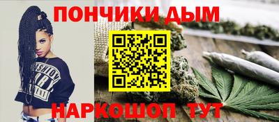 индика Усть-Илимск