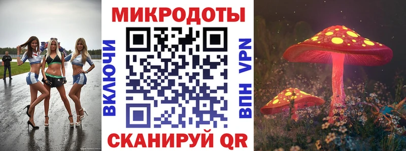 купить наркотики сайты mega ТОР Псилоцибиновые грибы мицелий Курчатов