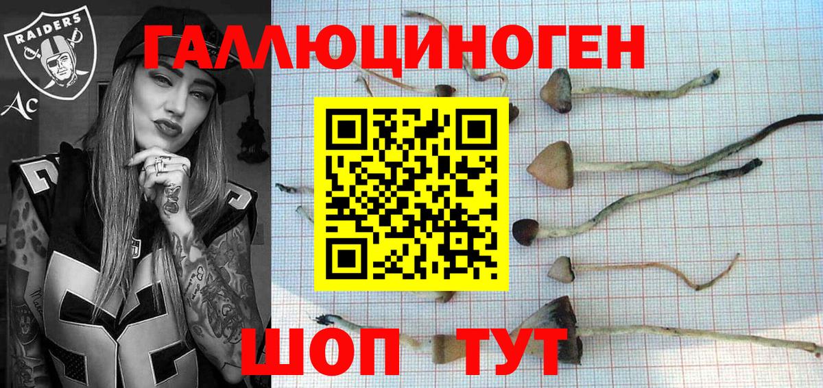 Псилоцибиновые грибы GOLDEN TEACHER  Вход с VPN  Курчатов 