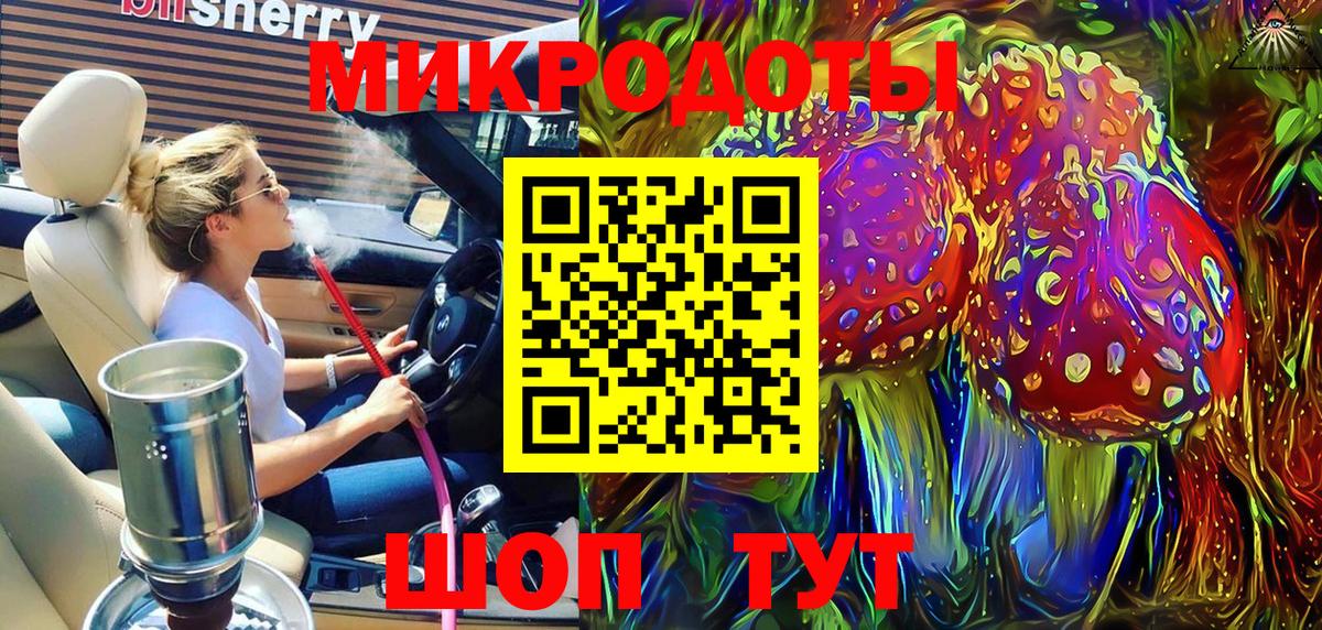 Галлюциногенные грибы Psilocybe Курчатов