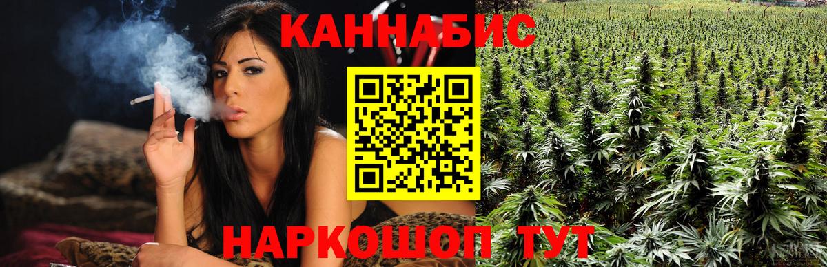 Бошки марихуана конопля  Шишки марихуана тримм  Вход с VPN  Курчатов  Бошки Шишки индика 